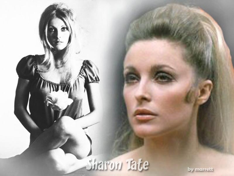 Sharon Tate Wallpaper