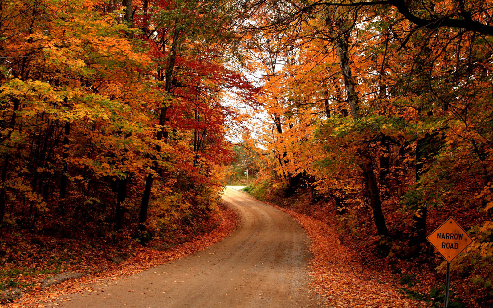 Desktop Wallpaper Autumn Road