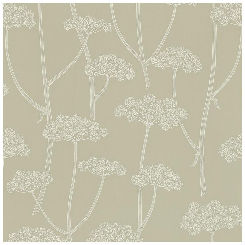 Sanderson Wallpaper Colour For Living Anise Collection Dcfl211645
