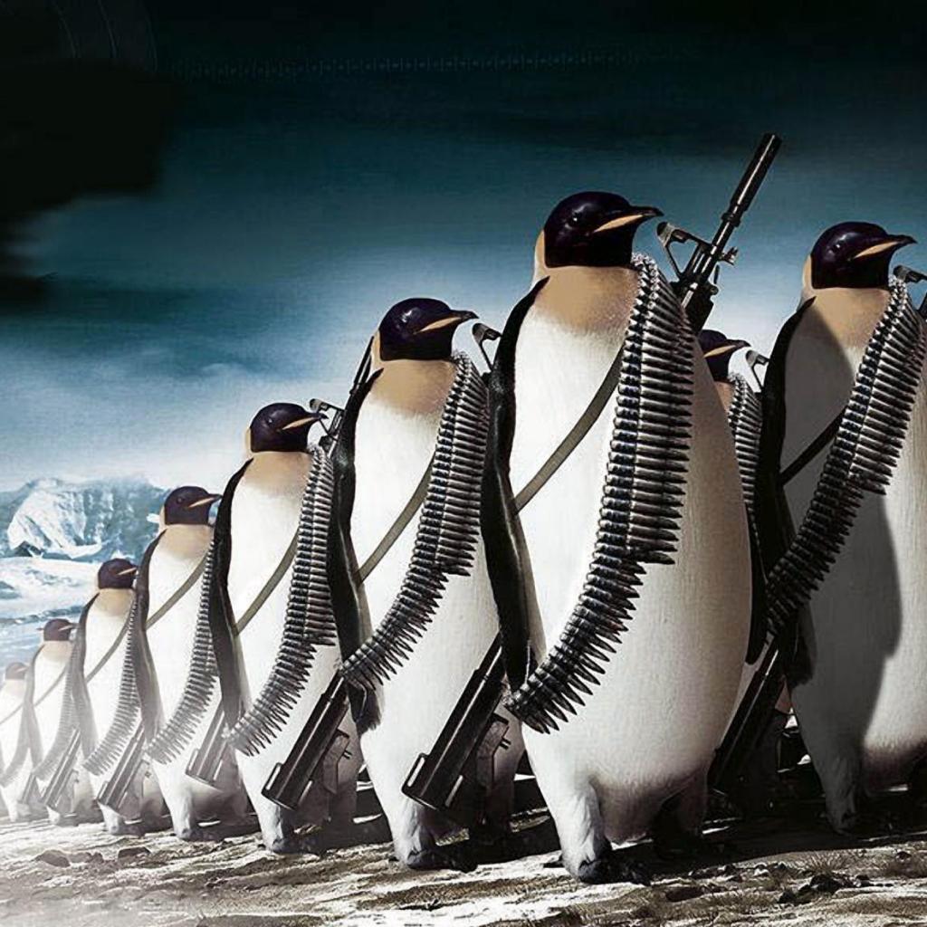 Penguin Army iPad Wallpaper ipadflavacom