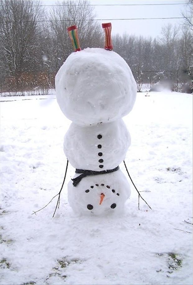 Funny Snowman Dump A Day