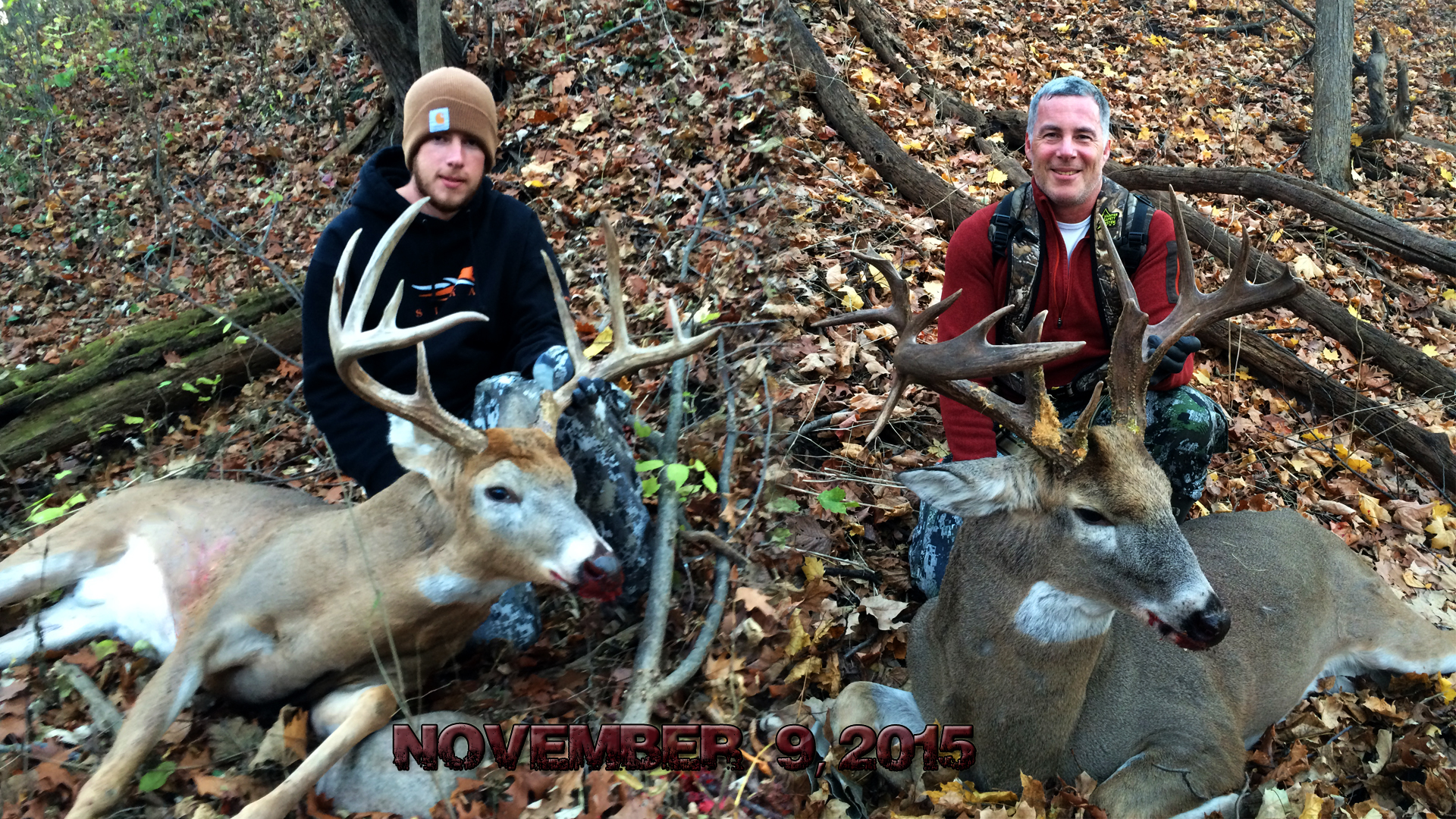 Whitetail Bucks In Minnesota By Andrew And Mike Klarich Son