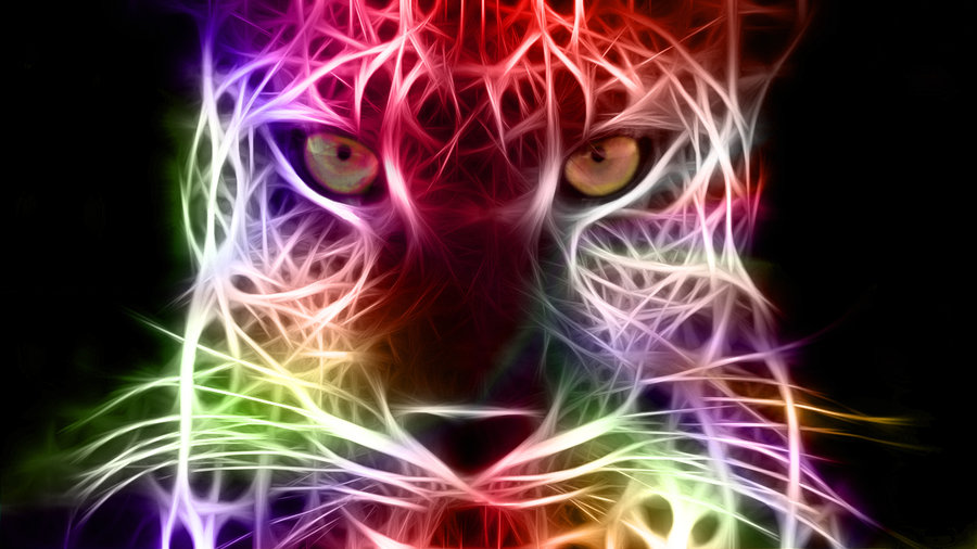 Cheetah Image Cool Rainbow Edition Wallpaper Photos