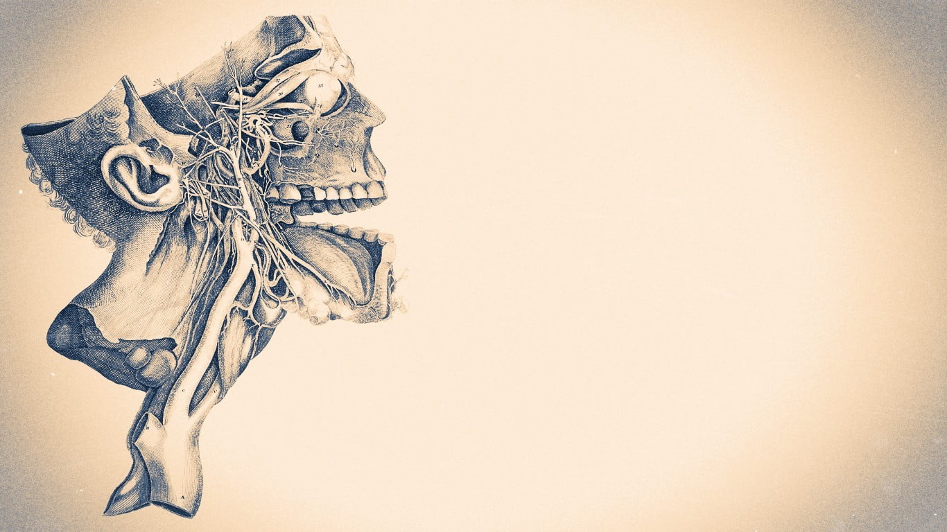 Skull Illustration Artwork Medicine Minimalism HD