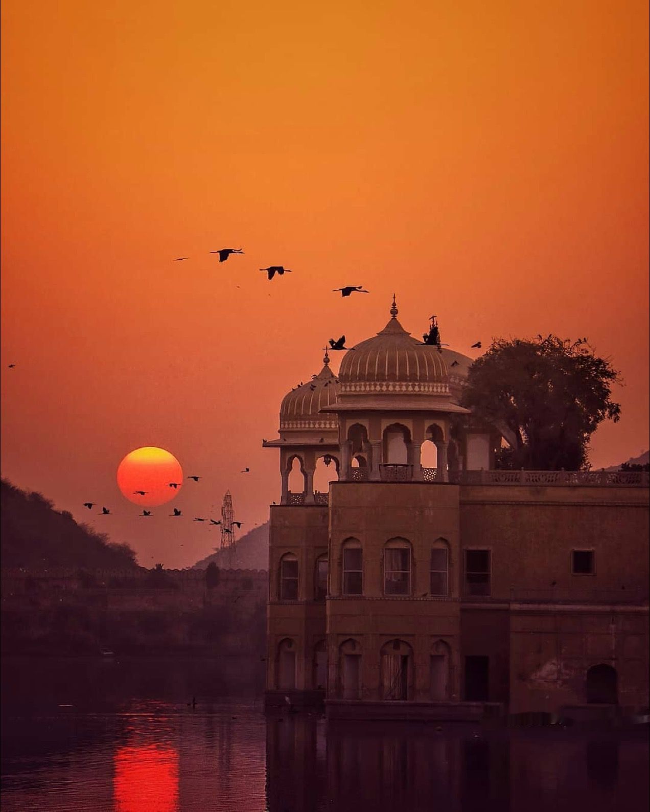 Jal Mahal Jaipur India Wallpaper