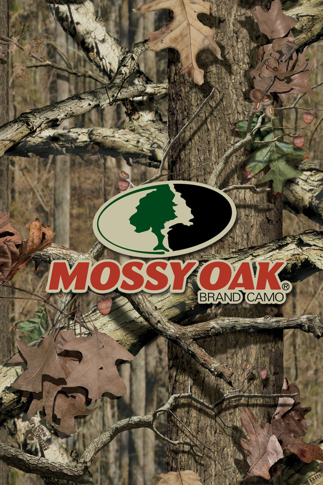Leopard Print Background And Pink Mossy Oak