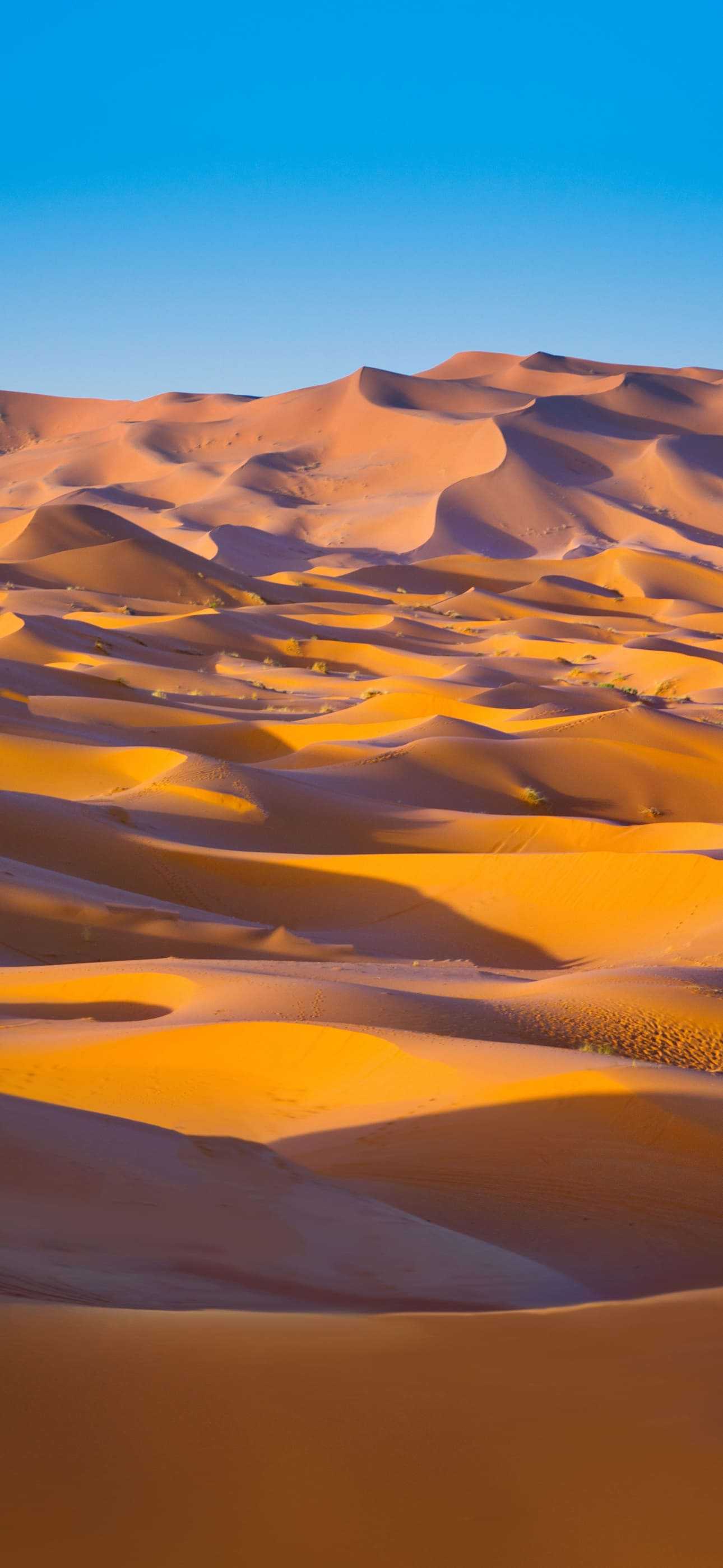 Rolling sand dunes under a clear blue sky create a mesmerizing desert landscape in this iPhone 14 Pro Max wallpaper