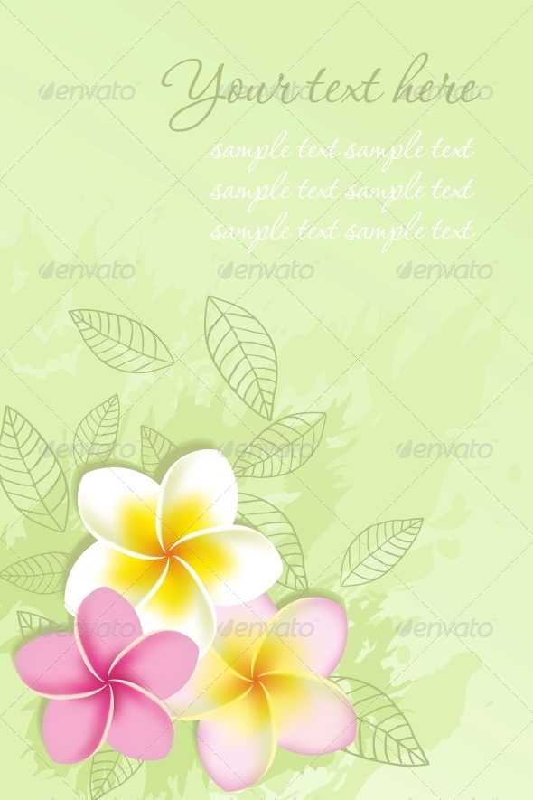 Vector Background With Plumeria Flowers Miscellaneous Seasons
