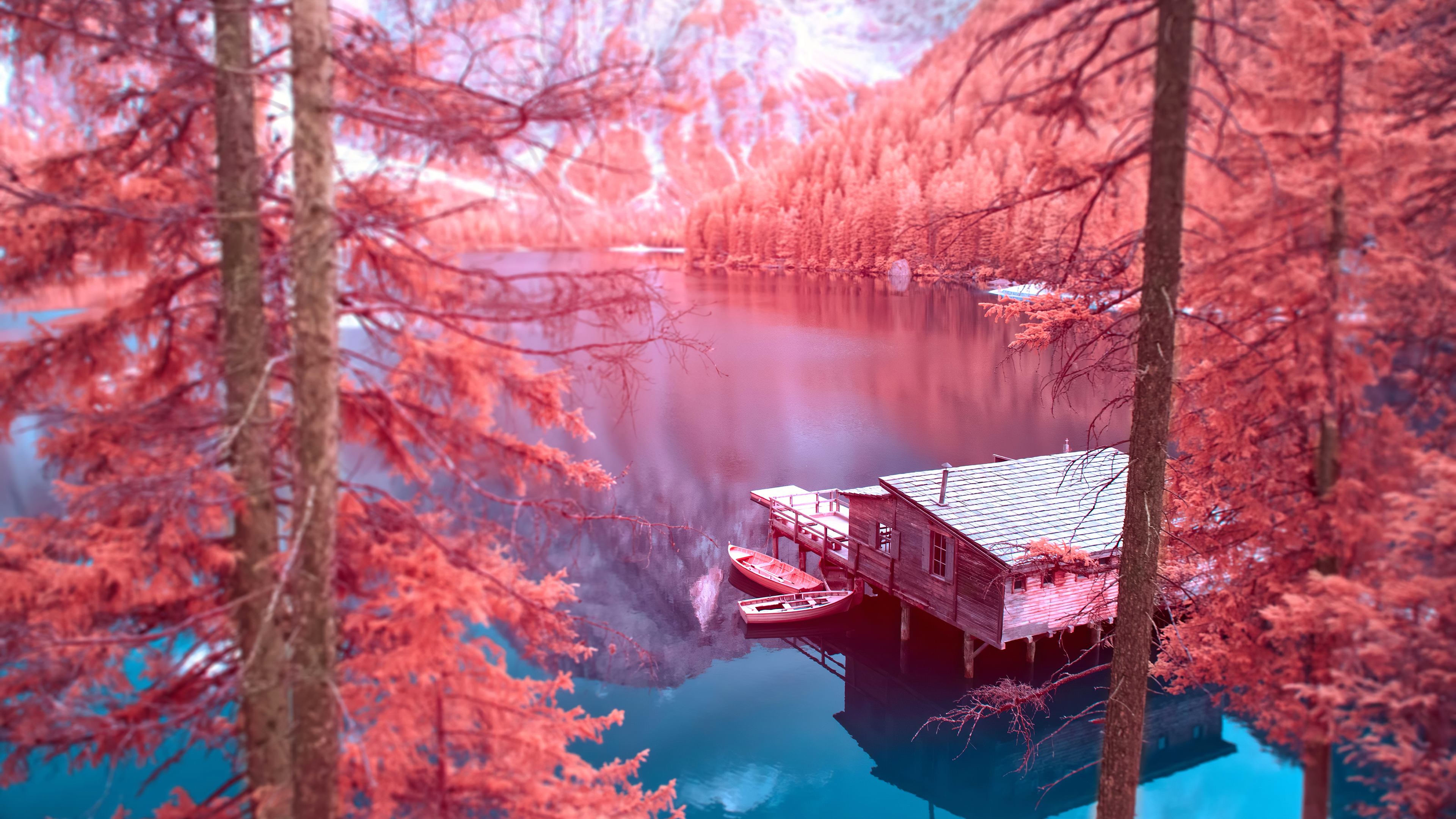 Infrared Photography 4k Ultra HD Wallpaper Background Image