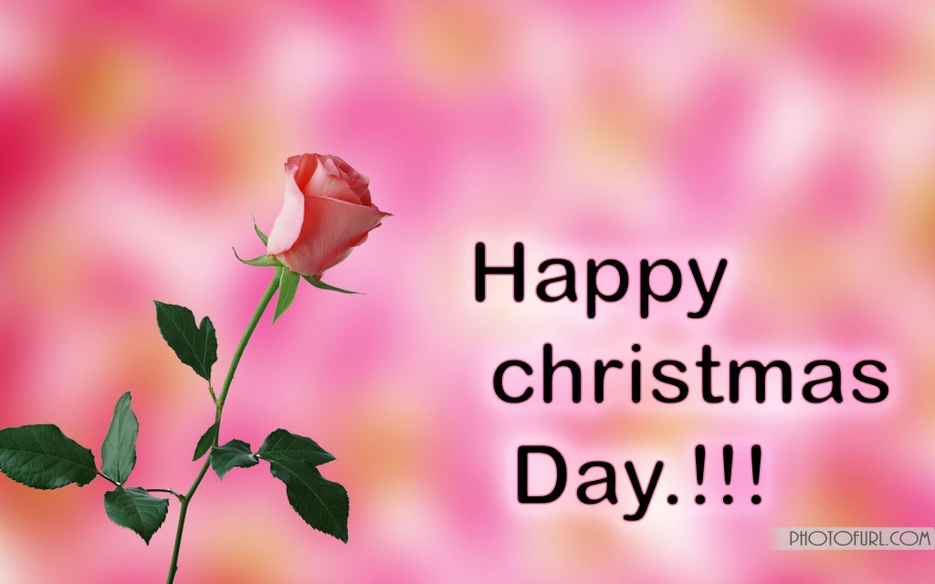Happy Christmas Day Wallpaper