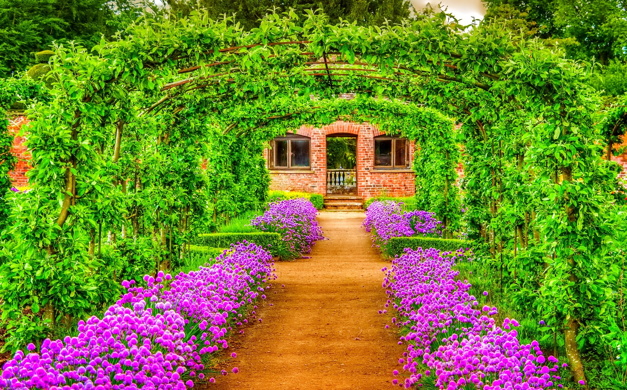 Vibrant Spring Garden HD Wallpaper