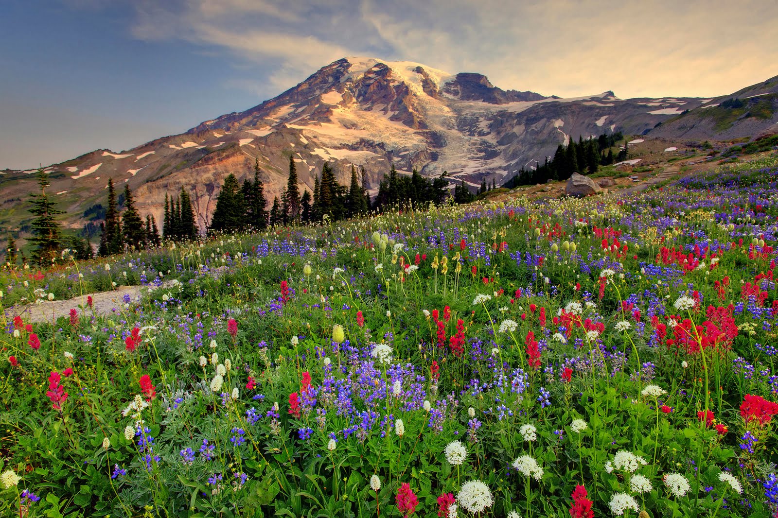 Mount Rainier Washington HD Desktop Wallpaper