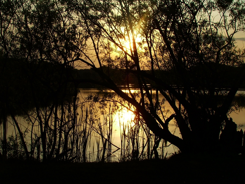 Florida Jacksonville Sunsetting On A Lake Nature Lakes HD Desktop