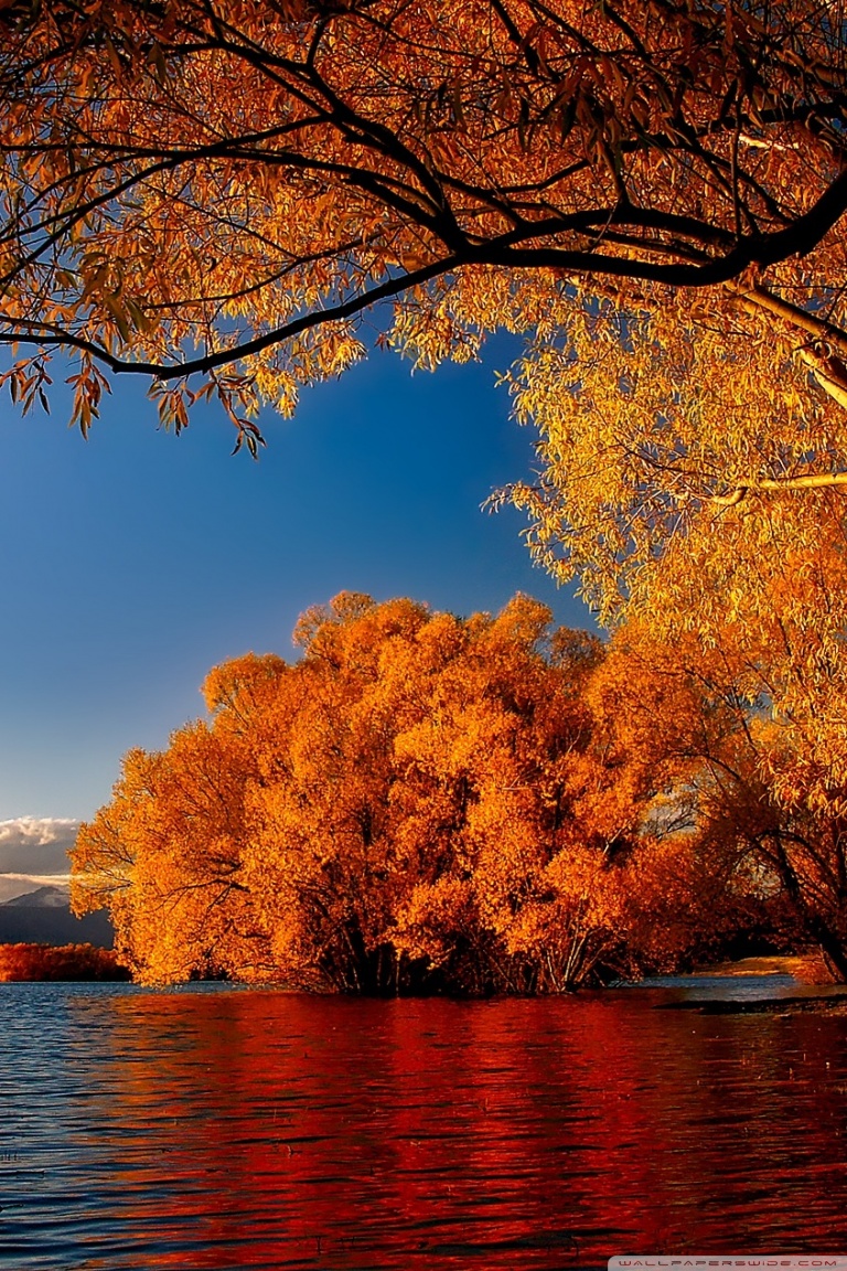 4k Fall Wallpaper