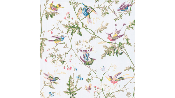 Hummingbirds Wallpaper Per Metre Roll Cole And Son