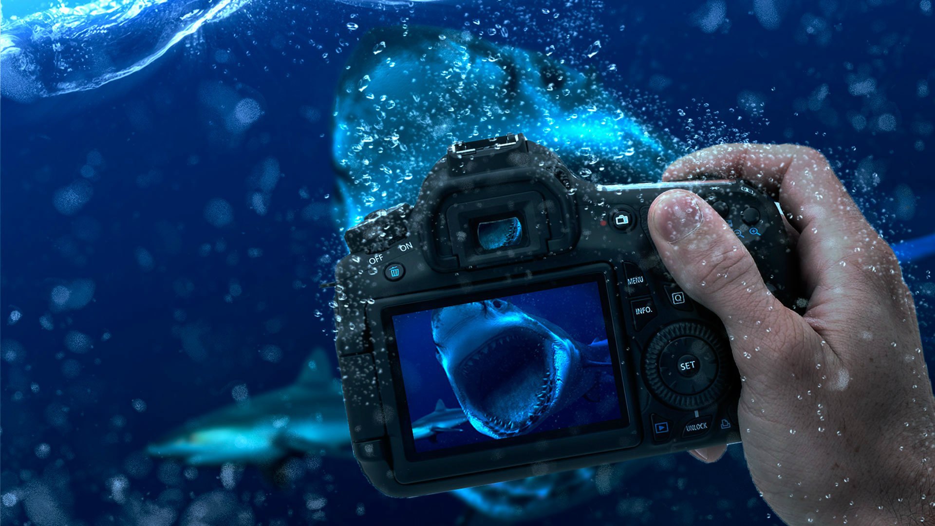 Underwater Photography Manipulation HD Wallpaper Background