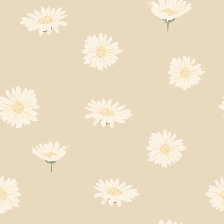 White Daisy Floral Pattern Vector On Beige Background Image