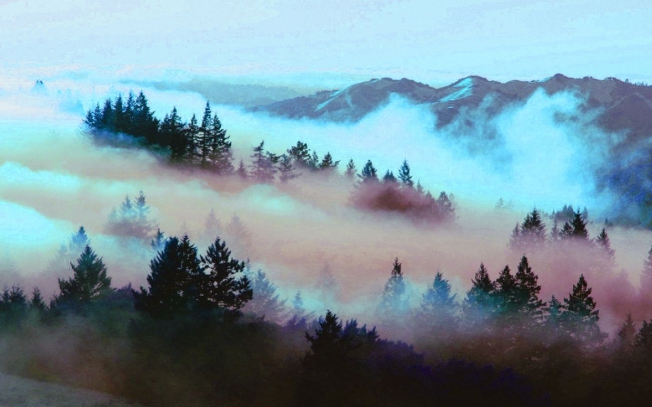 Nature Aesthetic Wallpaper Landscape HD