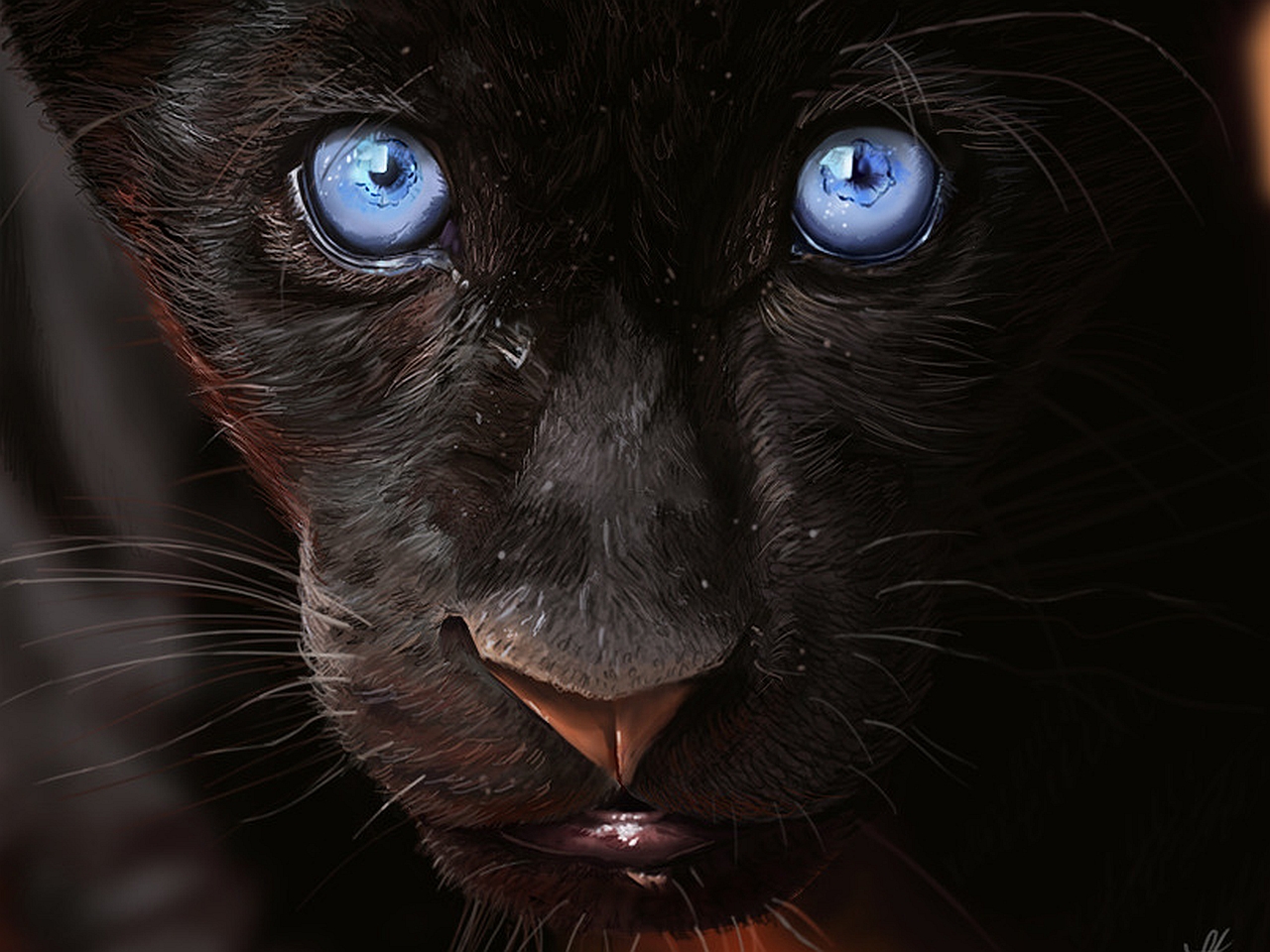 Black Panther Puter Wallpaper Desktop Background Id