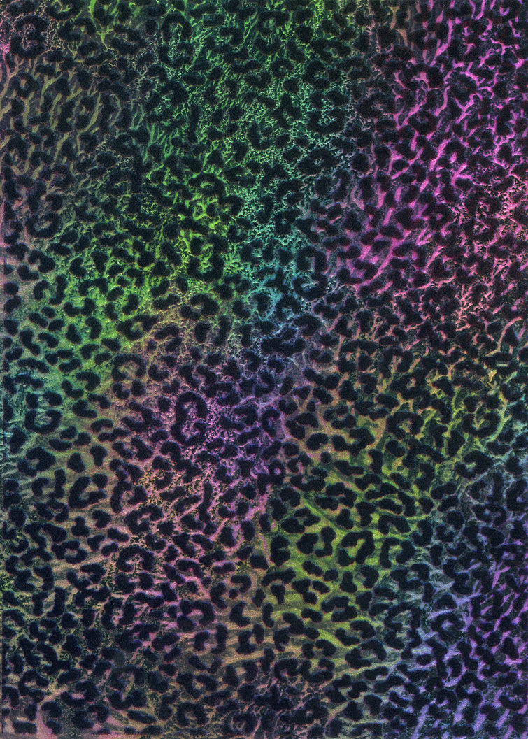 Rainbow Leopard Background By Eveyd