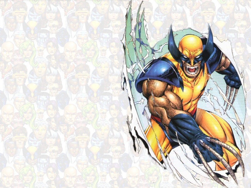 HD wallpaper Wolverine XMen HD cartooncomic  Wallpaper Flare