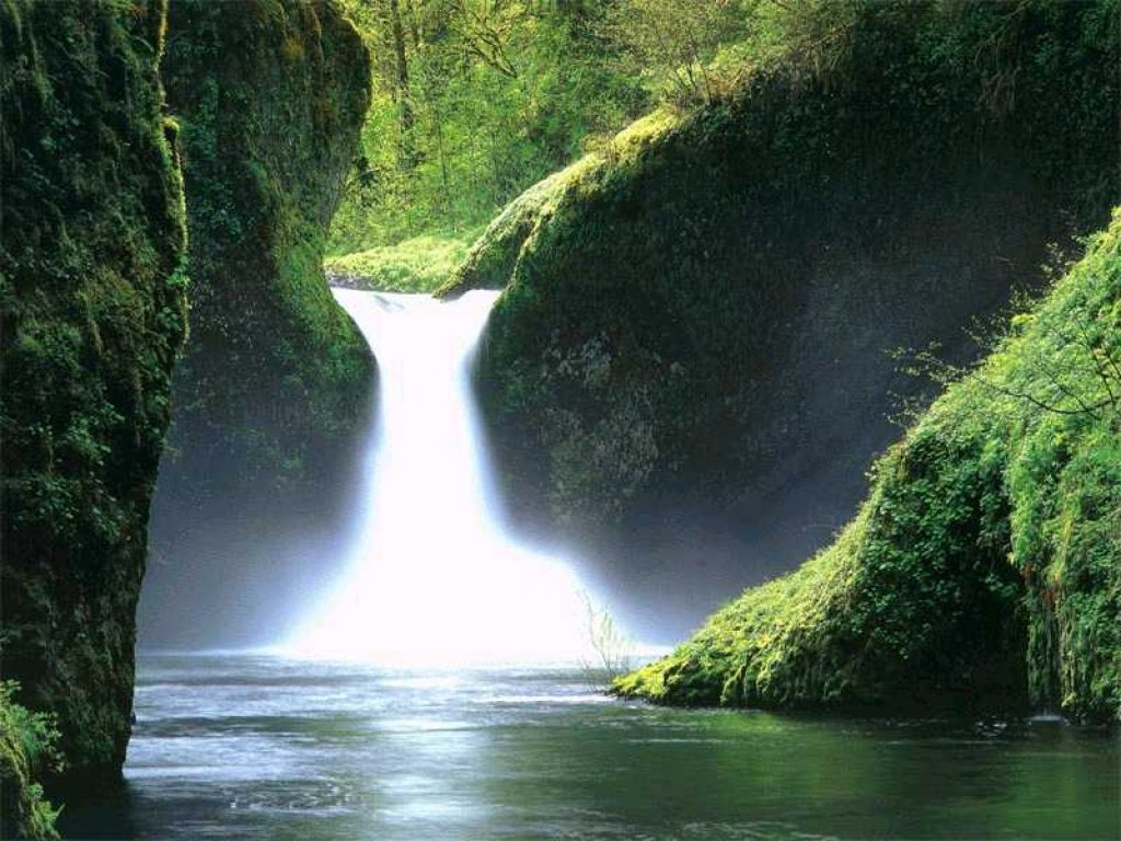 Beautiful Garden Waterfalls Screensaver Experience The Beauty Of