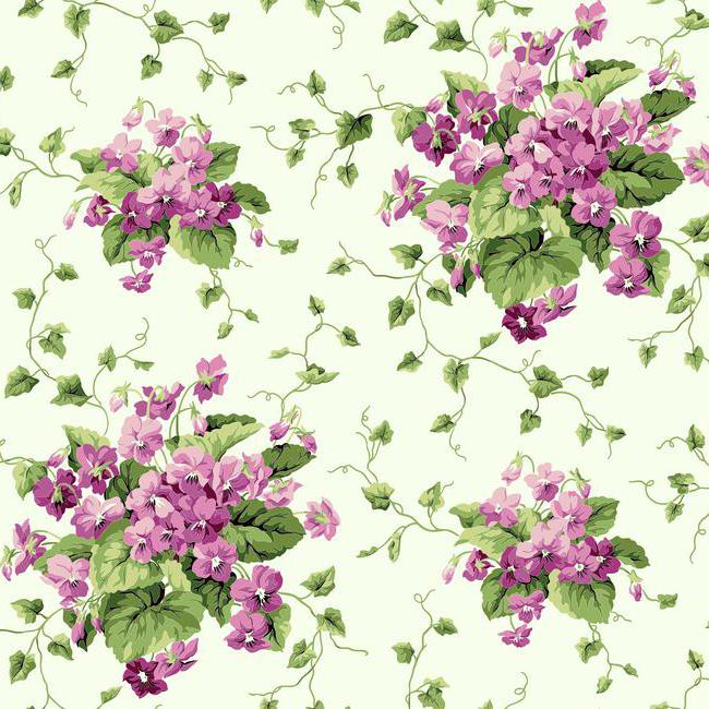 sweet violets er8102 wallpaper stdrentry s sweet violets er8103