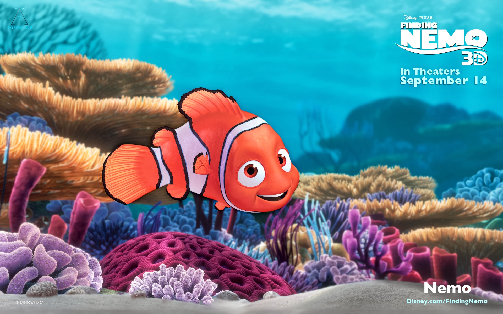Nemo In Finding 3d HD Wallpaper