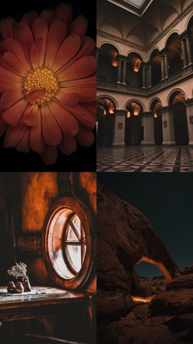 Dark Brown Aesthetic Wallpaper For iPhone Android