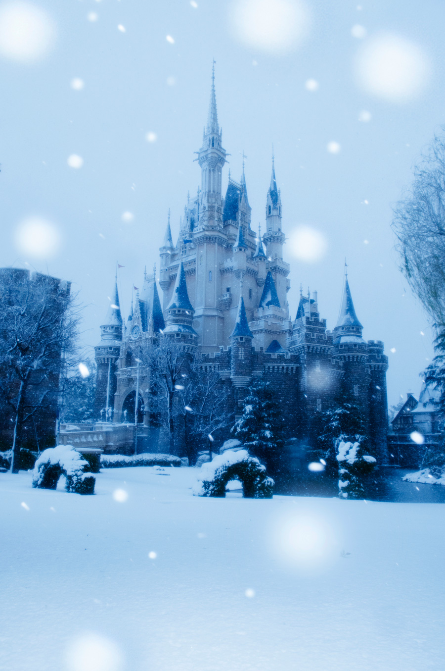 Tokyo Disney Resort Into A Winter Wonderland Parks