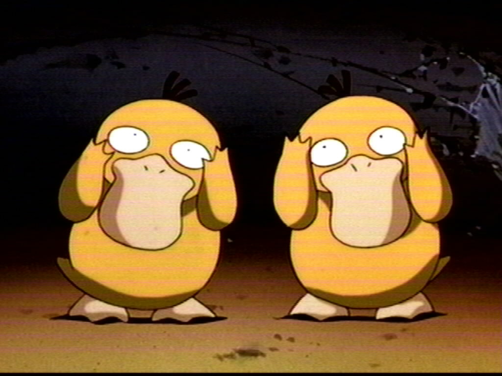 Psyduck Image HD Wallpaper And Background Photos