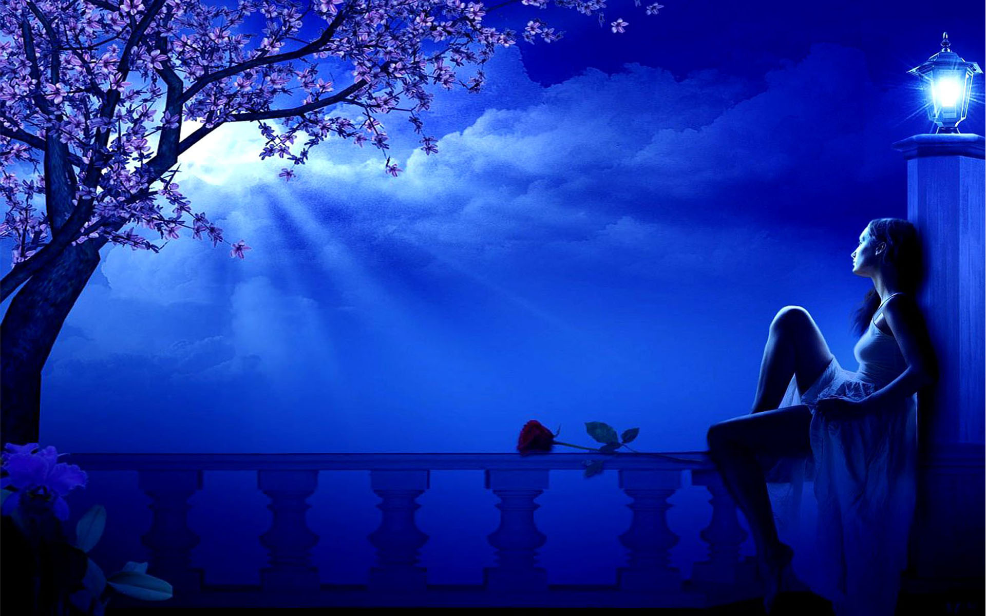 Blue Moon spring night girl dreamer blossoming tree street lamp