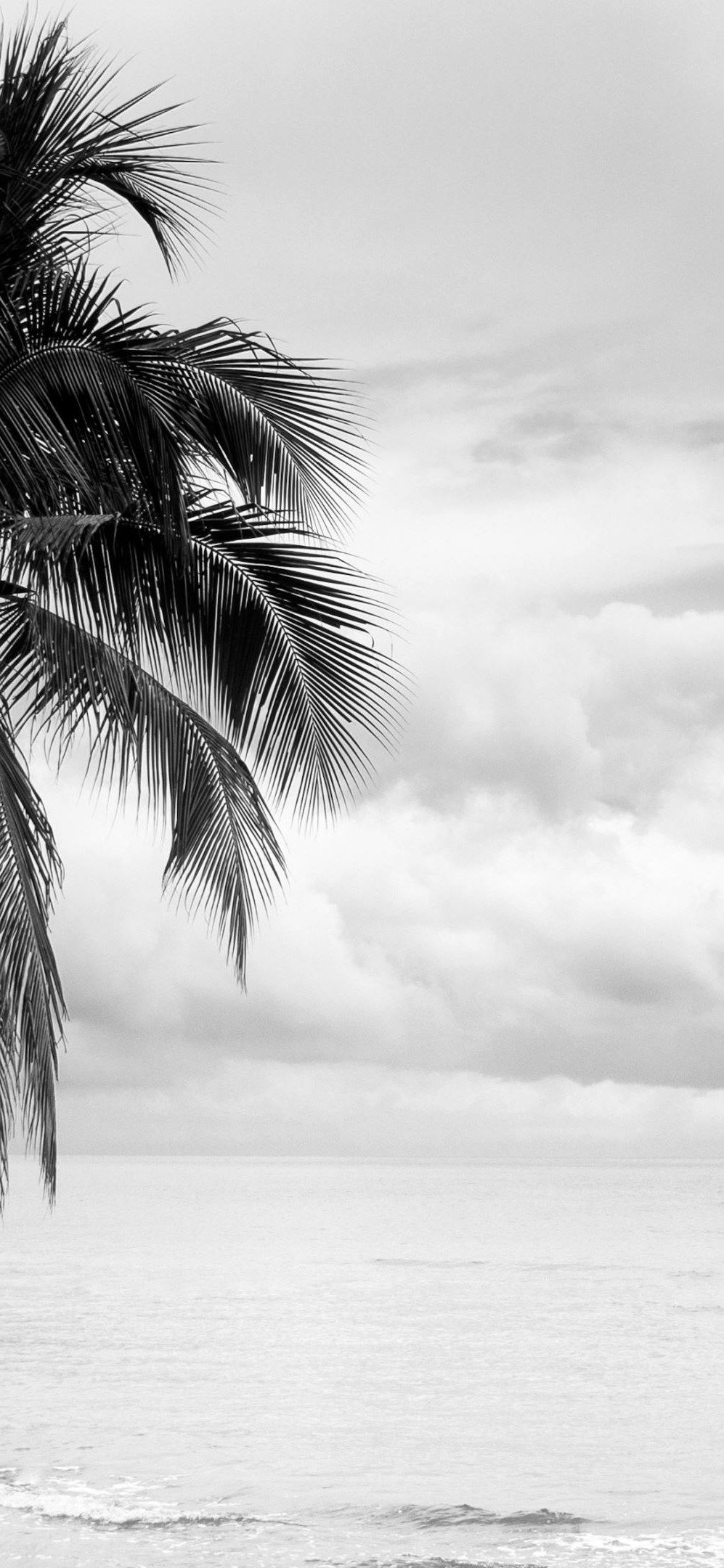 Best Black And White Wallpaper For iPhone