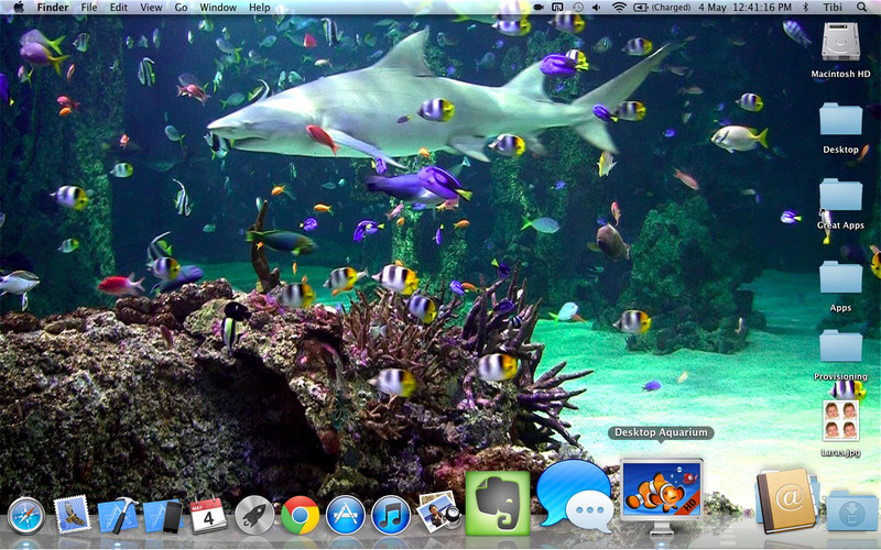 Free Live Aquarium Desktop Fish Wallpaper