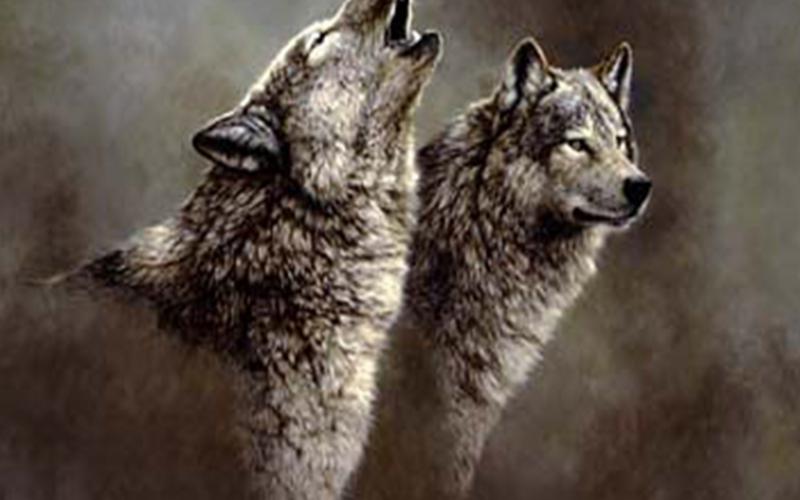 Fantasy Grey Wolf Nature Wolves Howling Wildlife Pups 3d Abstract