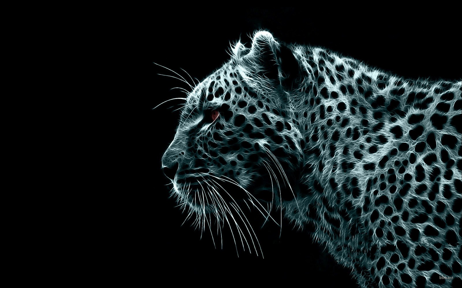 Wallpaper HD Mac Leopard