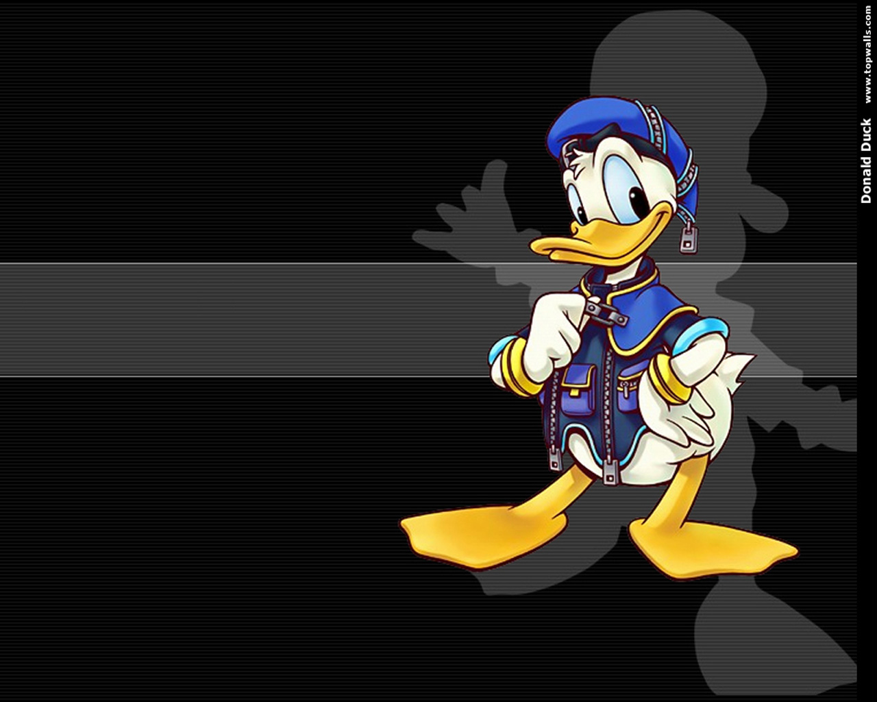 Animation Pictures Wallpaper Donald Duck