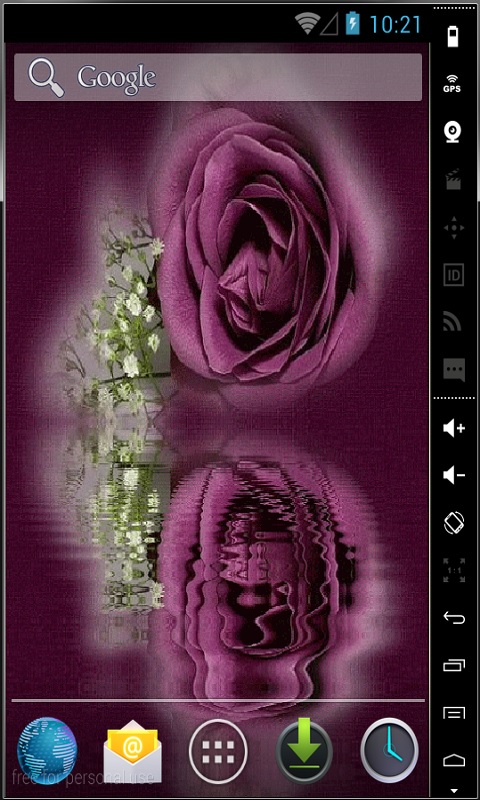Purple Velvet Rose Live Wallpaper For Your Android Phone