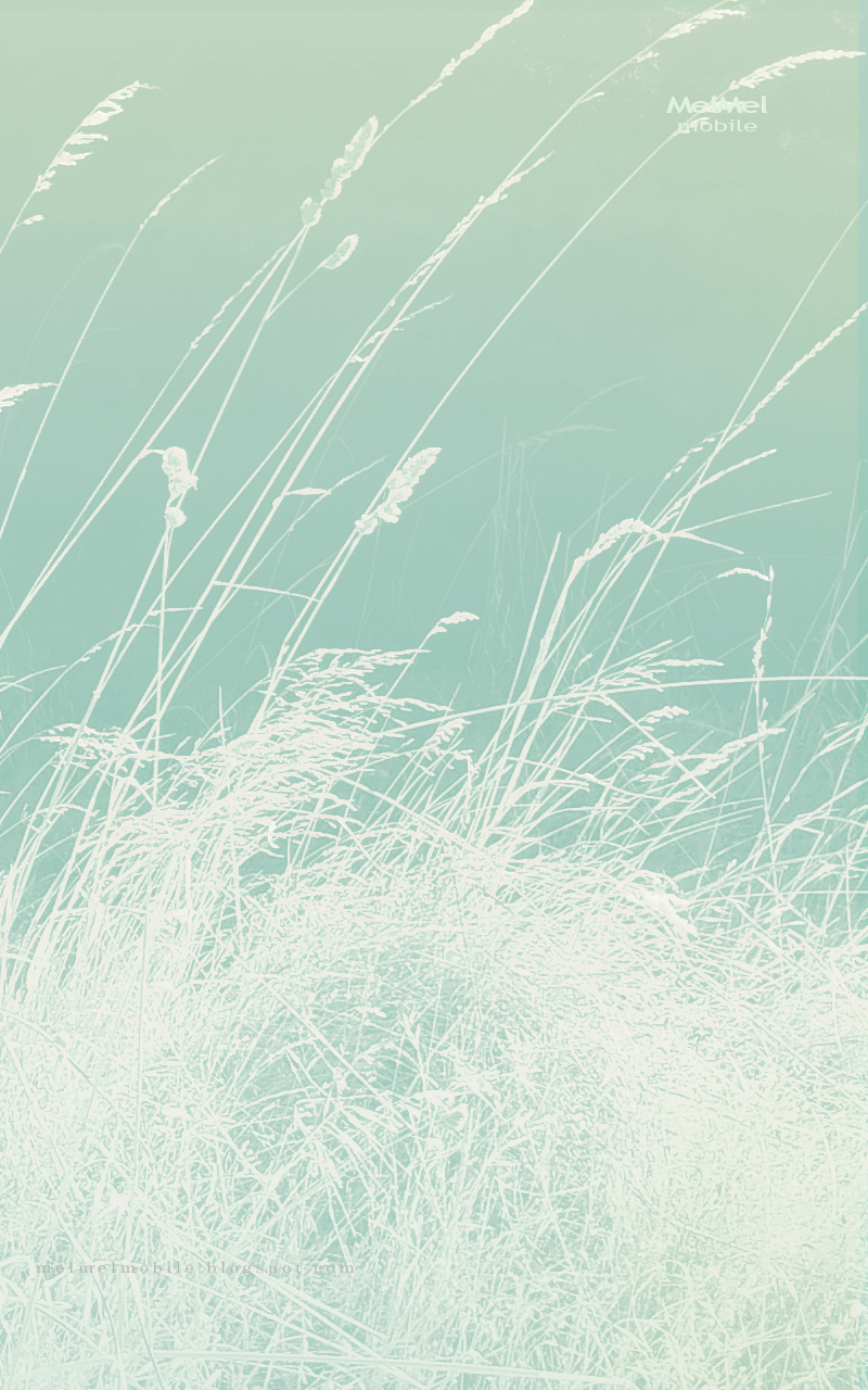 The Beauty Of Wild Grass Lock Screen Wallpaper Melmel Mobile