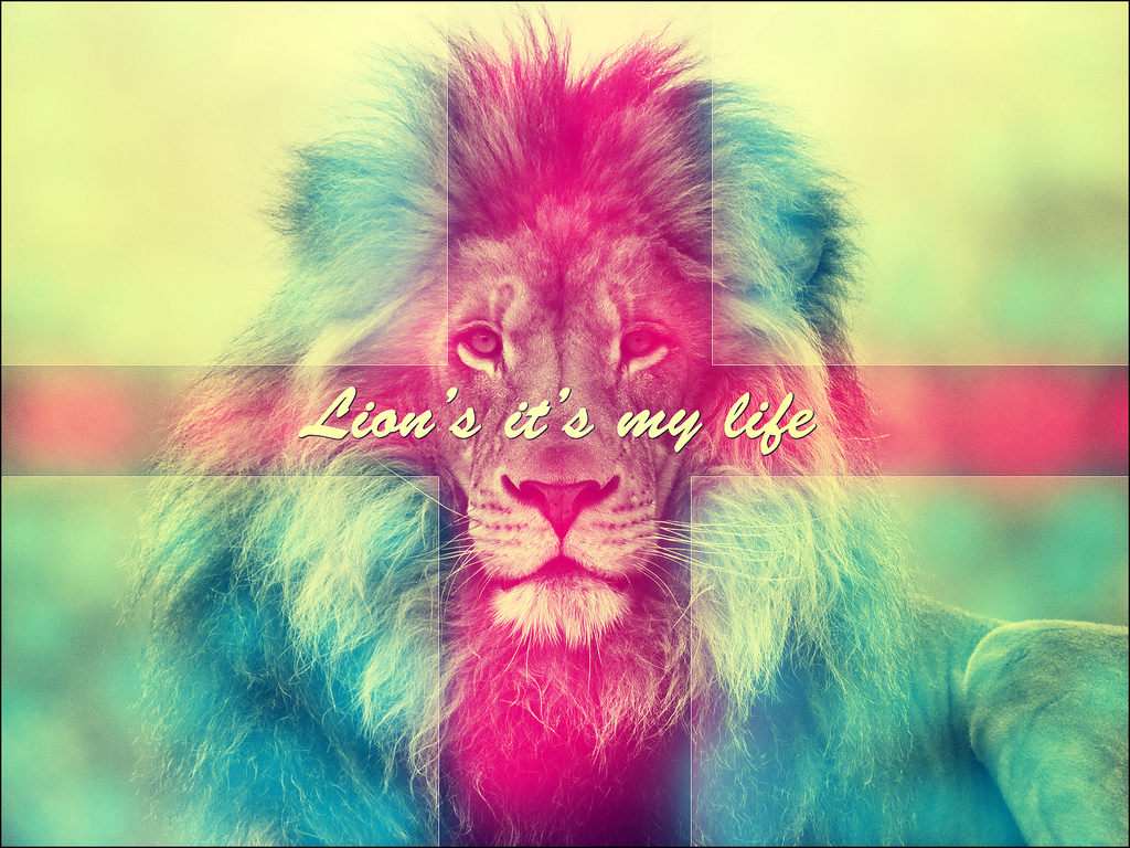Colorful Lion Wallpaper HD Colored By