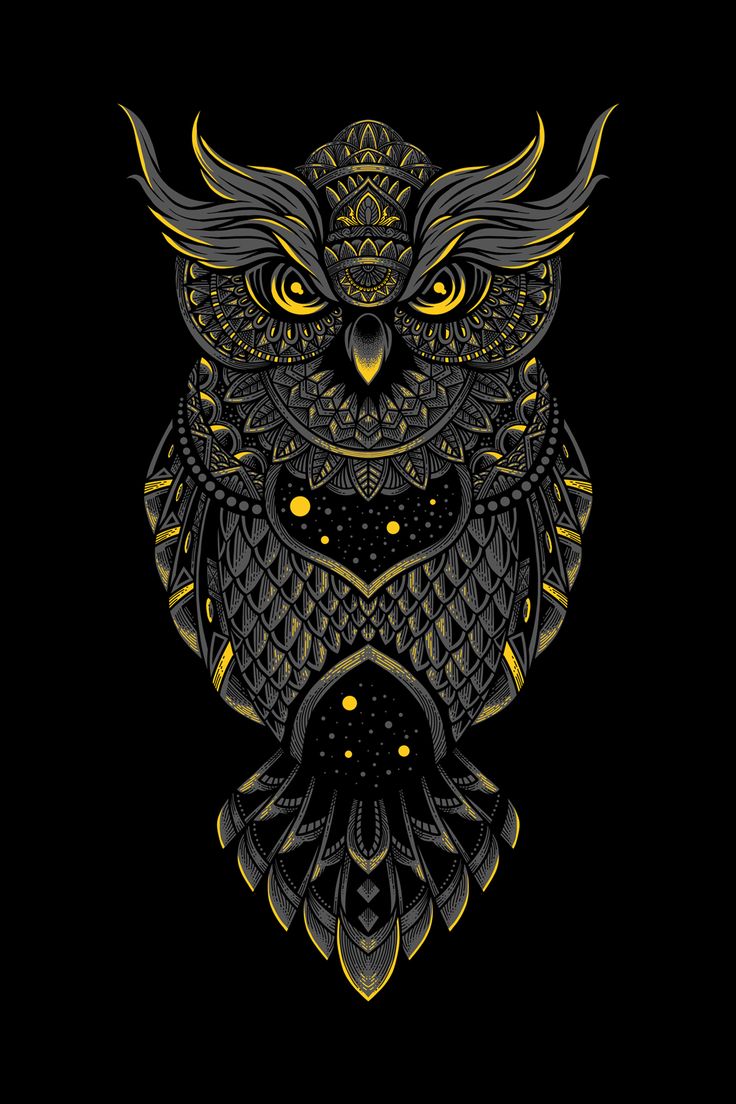 33+] Owl Mobile Wallpapers - WallpaperSafari