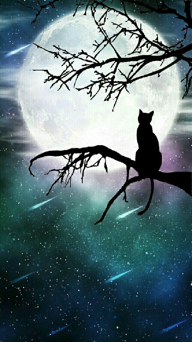 Il gatto e la luna Silhouette art Black cat art Cat painting 640x1136