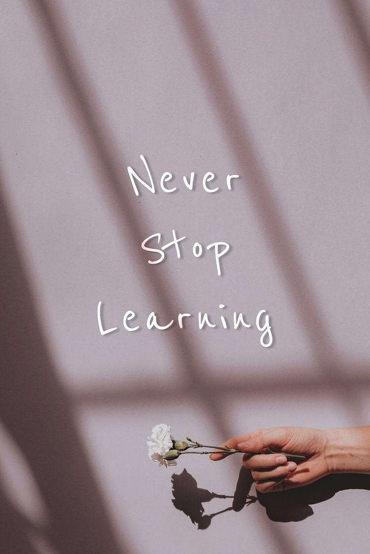 Never Stop Learning Quote On A Hand Holding Flower Background