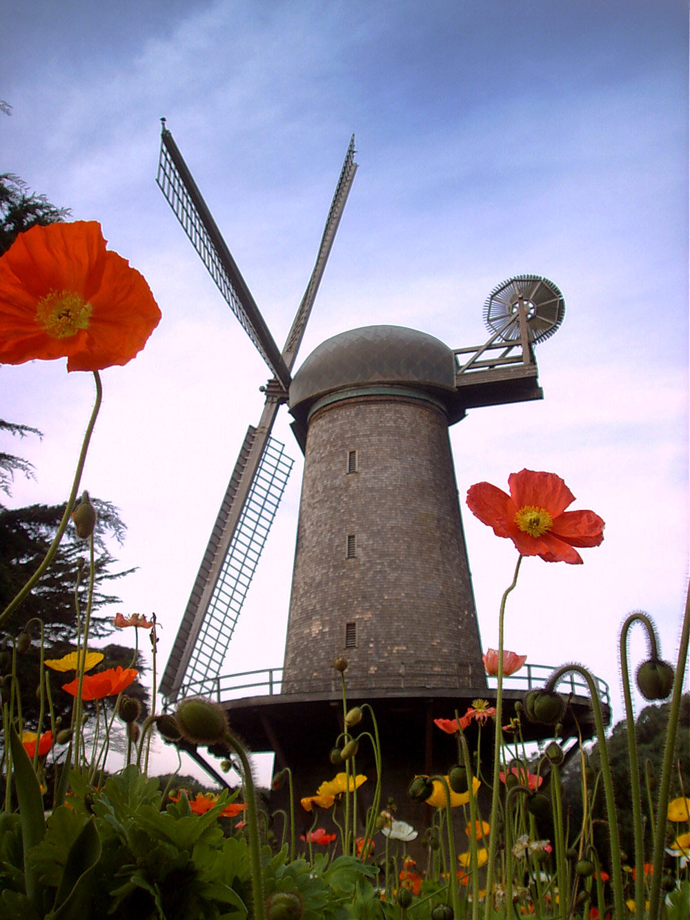 North Dutch Windmill By Voodoochild84