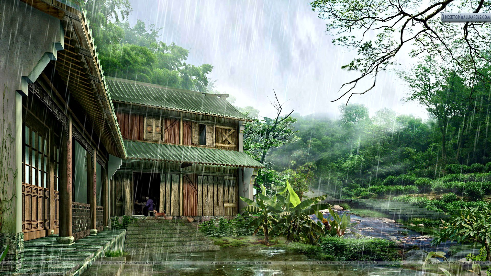 Rainy Day And Nature Home Wallpaper