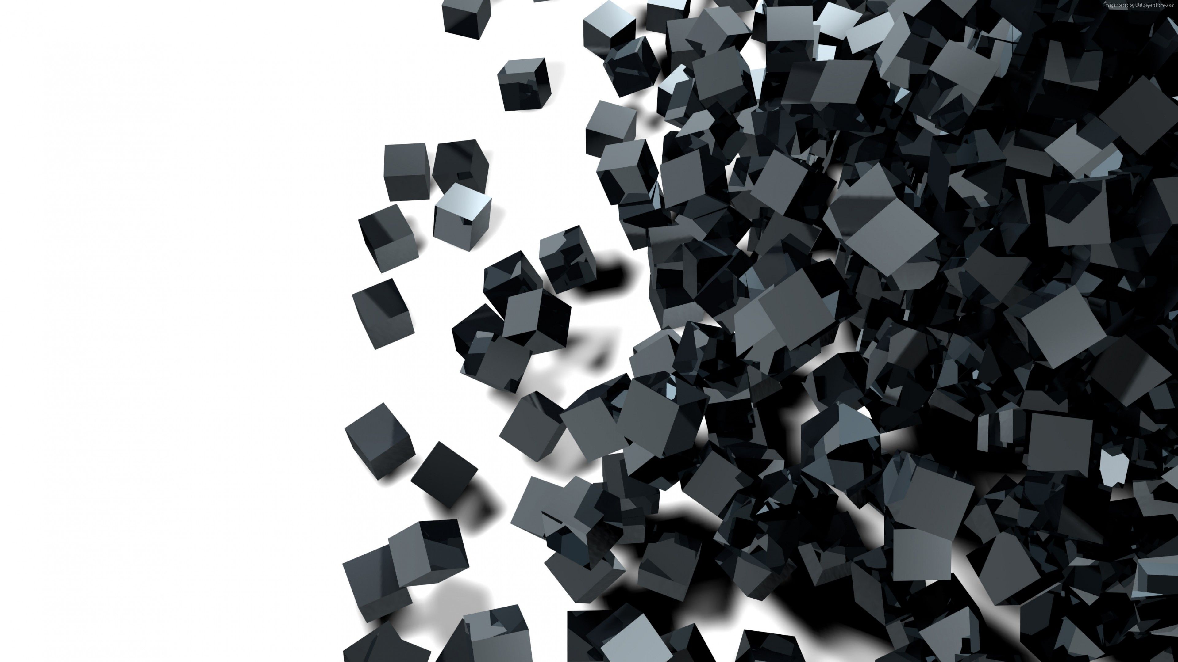 Black And White 4k Wallpaper High Quality