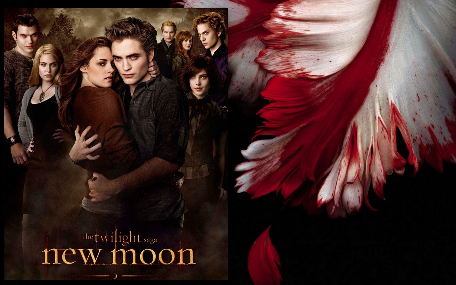 New Moon Wallpaper Twilight Series