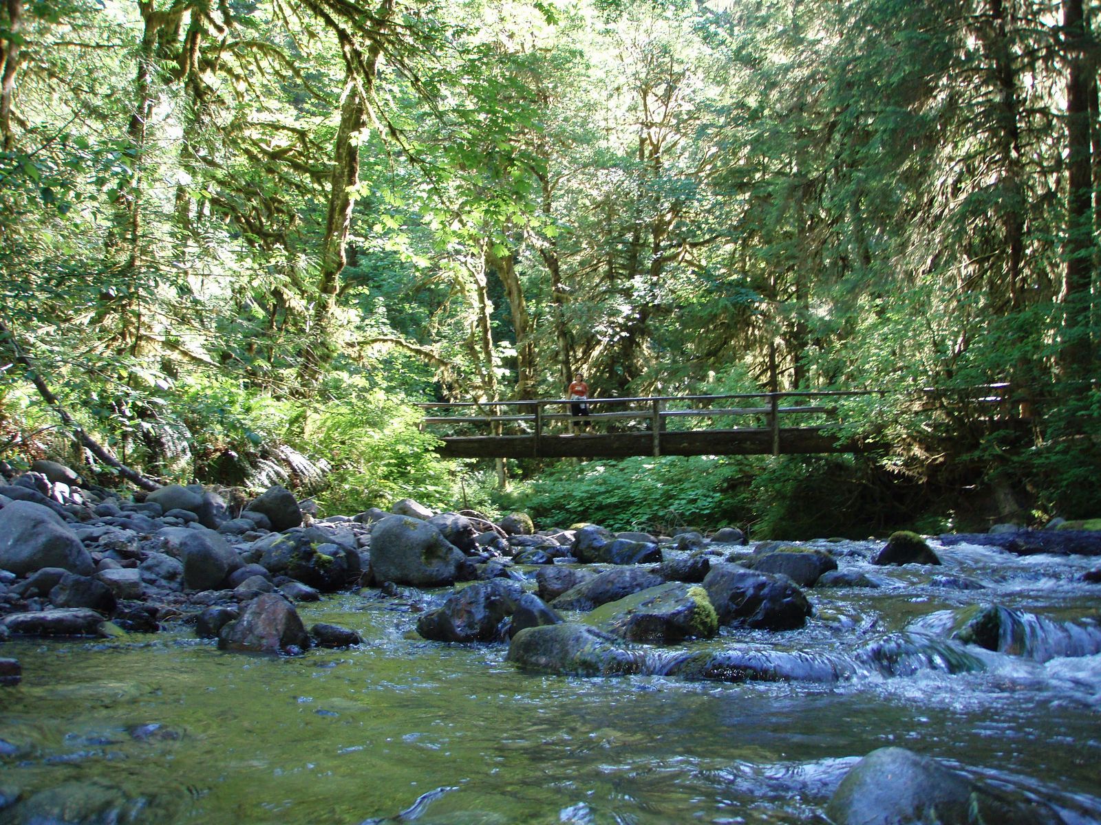 Jewel In The Pacific Northwest Barns Creek On