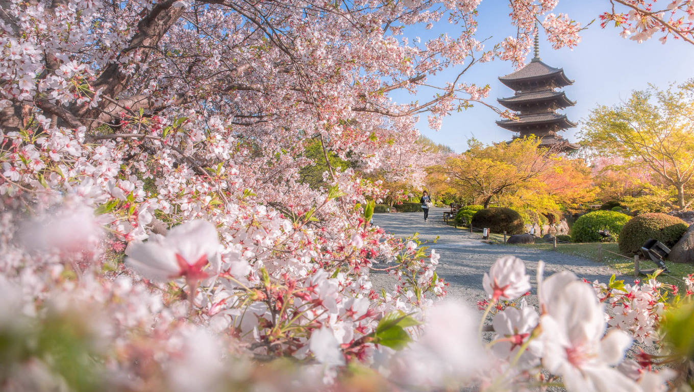 Top Kyoto Wallpaper Full HD 4k To Use