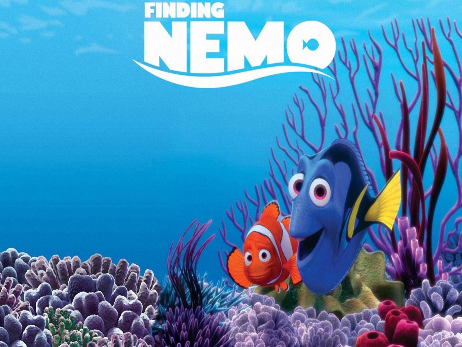 Papel De Parede Procurando Nemo Wallpaper Filme